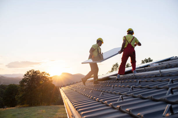 Best Roof Moss and Algae Removal  in Brooklyn Center, MN