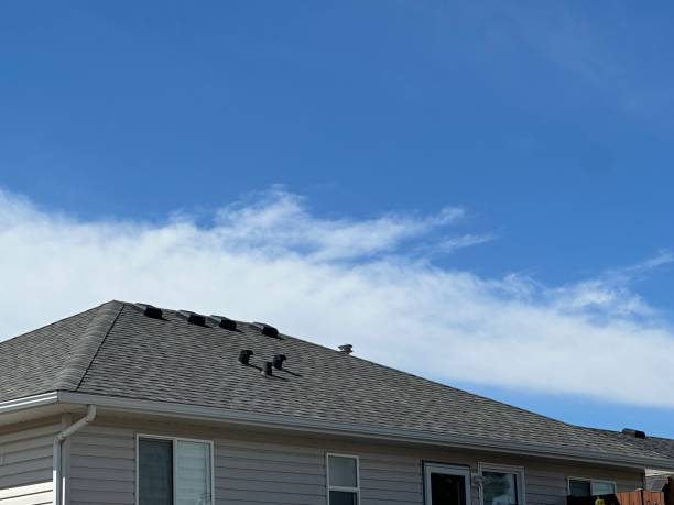 Professional Roofing Service in Brooklyn Center, MN